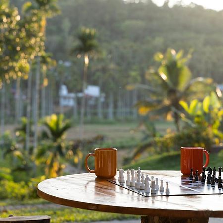 Stayvista At The Big Chill With Breakfast Included Wayanad Ngoại thất bức ảnh